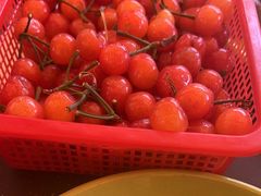 -正宗火盆自助烧烤·烤全羊·柴火鸡(龙泉山店)
