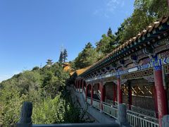 -兰山公园
