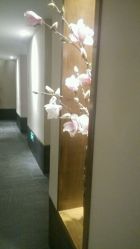 android_upload_pic-盘子女人坊生日照·摄影馆(华强店)