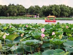 -沈阳市东陵公园