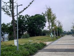 -桂溪生态公园