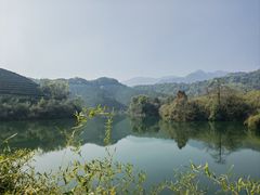 -龙坞茶村