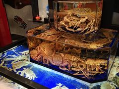 -蟹道乐(道顿堀本店)