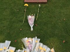 -上海市龙华烈士陵园