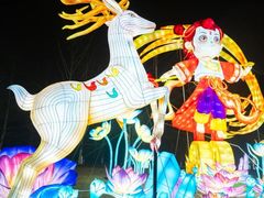 -武汉园博园(武汉自然博物馆)