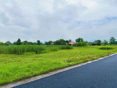-良渚古城遗址公园