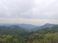 -大岭沟猕猴桃谷风景区