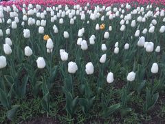 -长春公园(普阳街道)