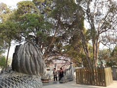 android_upload_pic-少林寺景区