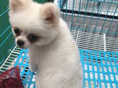-方恒购物中心(望京小街店)