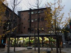 -Soloist 独奏公司(798店)