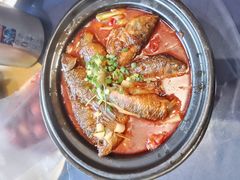 -金龙寨(龙城路店)