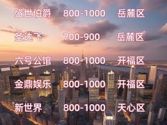 -长沙小天鹅戴斯酒店