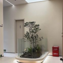 -比华利美容医院