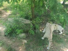 -西安秦岭野生动物园