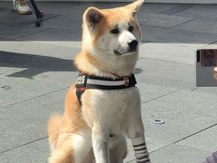 -沈阳铁西万象汇