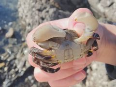 -大连金石滩国家旅游度假区