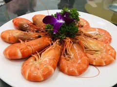 白灼九节虾-蚝专家(北滘店)
