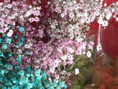 -双季花艺园艺市场(浦东店)