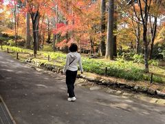 -三千院
