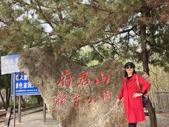 -府君山公园