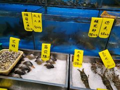 -飞尝蚝·顺德菜·鱼生(顺德总店)