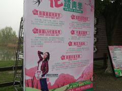 -田园东方蜜桃村的田野营地