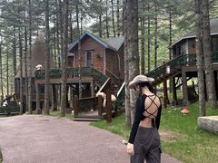 -洛阳白云山景区