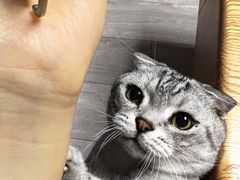 -Apple零售店(新街口店)