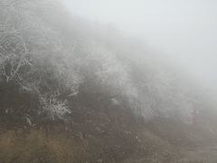 -太子岭滑雪场