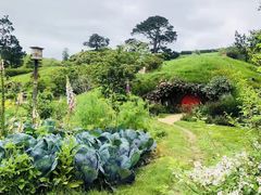 -霍比特人村