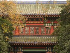 -灵谷景区