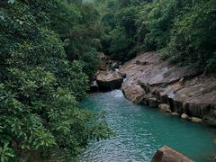 -广州白江湖森林公园