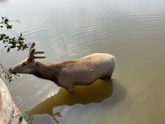 -宁波杭州湾国家湿地公园