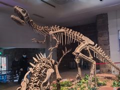 -自贡恐龙博物馆