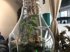 餐具摆设-雕刻时光咖啡馆(北师大店)