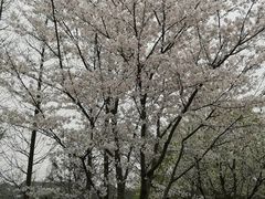 -尚贤河湿地