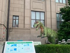 -国家自然博物馆