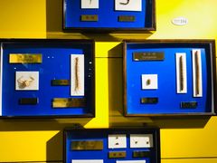 -上海昆虫博物馆