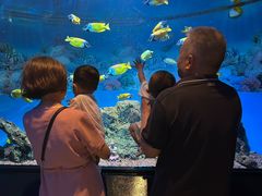 -海合安成都极地海洋公园