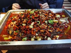 -锦尚阁烤鱼(望京新荟城店)