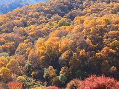 -兰州吐鲁沟国家森林公园