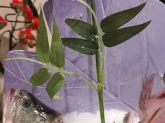 -诺筵汤品·菌汤火锅(南河坝店)