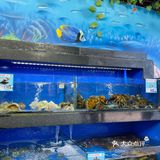 三亚｜吃海鲜就到这里😋好吃服务还超赞[强]