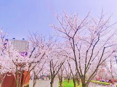 -龙美术馆西岸馆-停车场