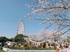 -顾村公园