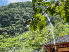 -将军关探险漂流