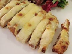 -百好乐宠物友好餐厅(朝外大街店)