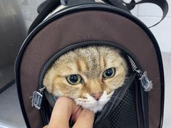 -北京赛佳动物医院