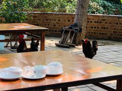 -二当家山庄(崮五路店)